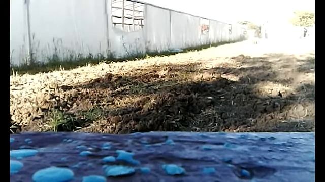 Картофелекопалка своими руками смотреть онлайн