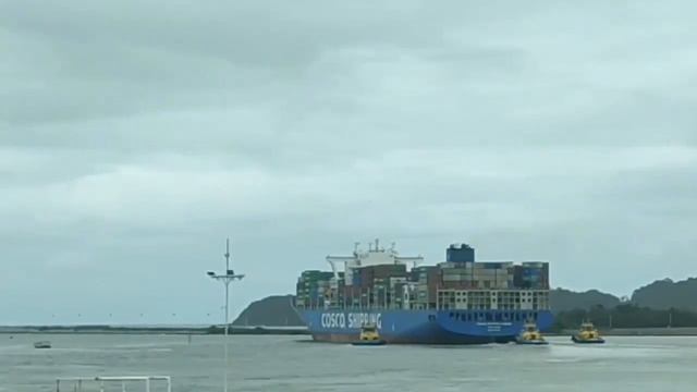 Цена на отправку морского контейнера. Ставка на контейнеры. смотреть онлайн