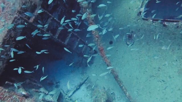 Photos in the Graveyard of the Atlantic: Nazi U-boats! Sharks! Wrecks! смотреть онлайн