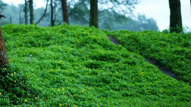 Band Indie B'Java - Bukan Aku ( Lagu Baper ) смотреть онлайн