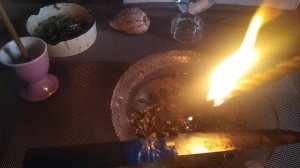 Чистка животных от негатива 1