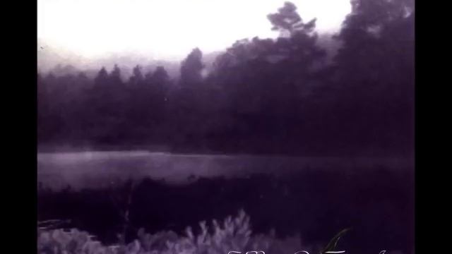In The Woods - Heart Of The Ages смотреть онлайн