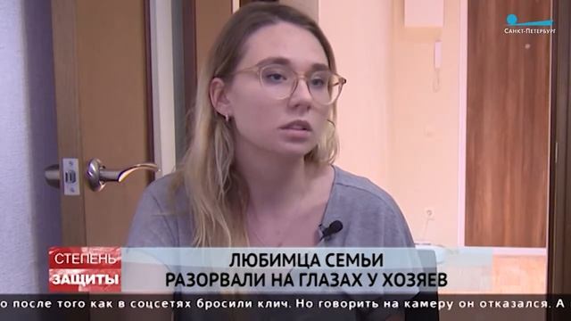 Как маленькие собаки становятся жертвами больших смотреть онлайн