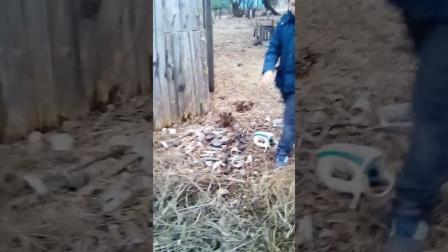 Неожиданная Находка за сараем нашли нож настоящий плоскогубцы смотреть онлайн