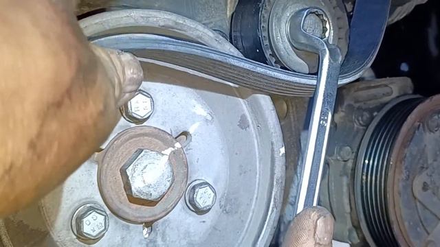 Change  Drive Belt Citroën C3 2010