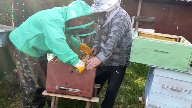 Первая качка мёда часть 2 смотреть онлайн