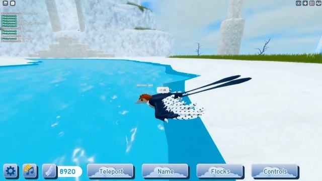 Feather Family Confuciusornis Update