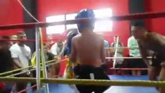 Combate de Sullivan смотреть онлайн