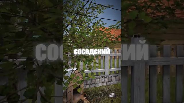 🔥КТО СОСЕДИ АНДРЕЯ ИЗ ИГРЫ SCHOOLBOY RUNAWAY❗️ #shorts #приколы #скулбой #schoolboy.mp4 смотреть онлайн