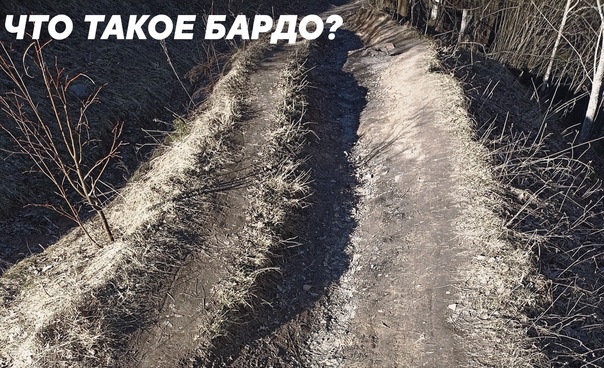 Что такое бардо?