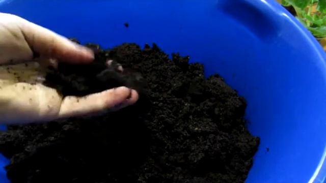 Торф- разочарование. На что обратить внимание при покупке. смотреть онлайн