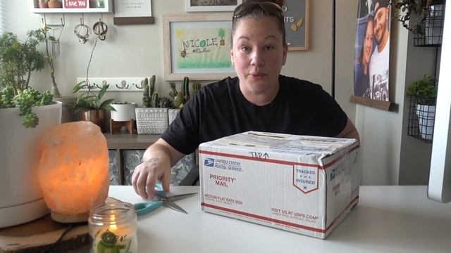 Unboxing (yet another) Wish List plant! | special delivery смотреть онлайн