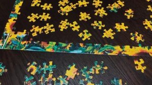 Как собрать сложный пазл, советы по сборке. Пазл на 1002 детали.