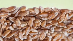 Полба - что это за крупа?