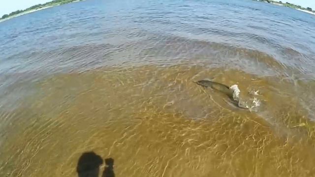 Крупная рыба! Big fish смотреть онлайн