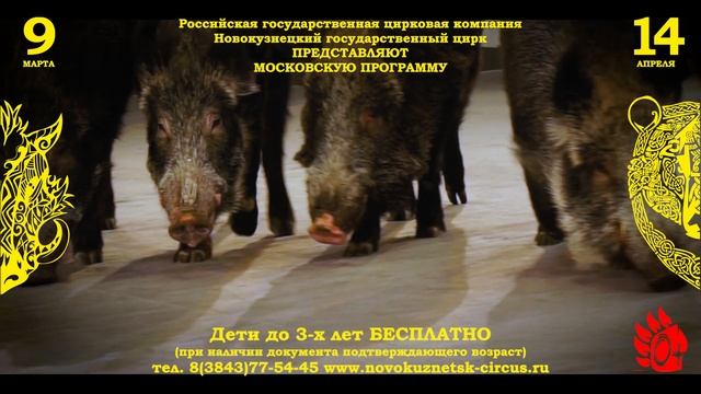 Цирк "ТОТЕМ" смотреть онлайн