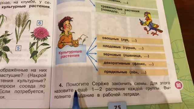Окружающий мир/ 2 класс/Плешаков/ Тема: «Дикорастущие и культурные растения»/15.10.20 смотреть онлайн