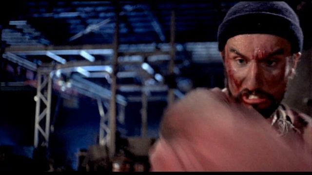 Боевая сцена, Джет Ли против Курт Роланд Петерссон (Финал)