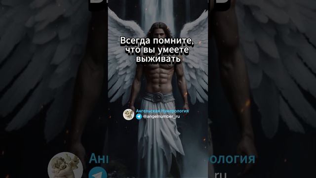 Всегда помните, что вы умеете выживать. Послание ангелов смотреть онлайн