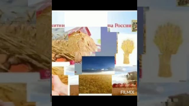 Мой родной край #лето #путешествие #край смотреть онлайн