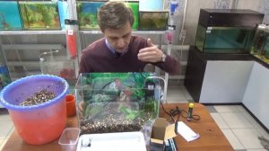 АКВАСБОРКА!!! ВНИМАНИЕ ВИДЕО ДЛЯ НОВИЧКОВ!!! КАК ПОДГОТОВИТЬ АКВАРИУМ К ЗАПУСКУ РЫБОК?