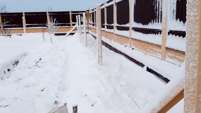 100% Утеплення винограду, самшиту та дерев смотреть онлайн