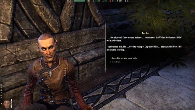 Teldur's End #14 - Aldmeri Dominion Quests ~ Elder Scrolls Online смотреть онлайн