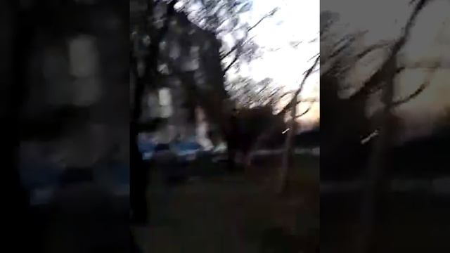 иркутск новоляга смотреть онлайн