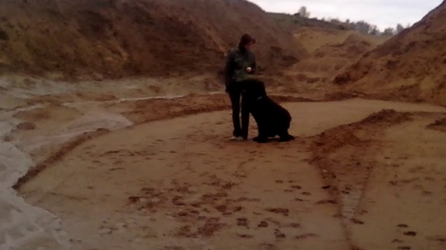 VID_20171012_161039 смотреть онлайн