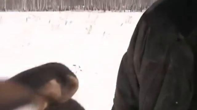 По следам Челябинского метеорита смотреть онлайн