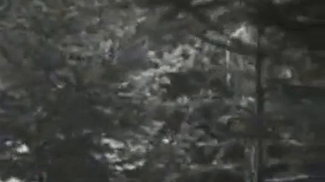 Giannis Parios - Ti Theleis Na Kanw