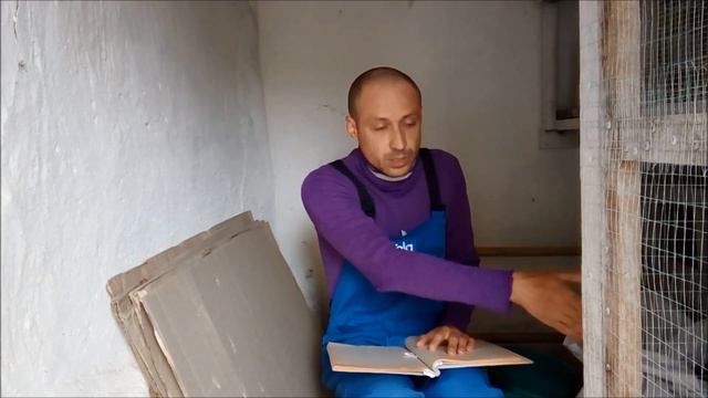Что с наседкой? Где цыплята? Куры породы Бентамка! Наш первый опыт, я в ШОКЕ от ПРОИЗОШЕДШЕГО! смотреть онлайн
