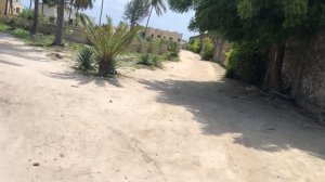 Кайтсерфинг на Занзибаре.Стоит ли сюда ехать за этим.Пляж "Падже".Африка.Танзания.Январь2022