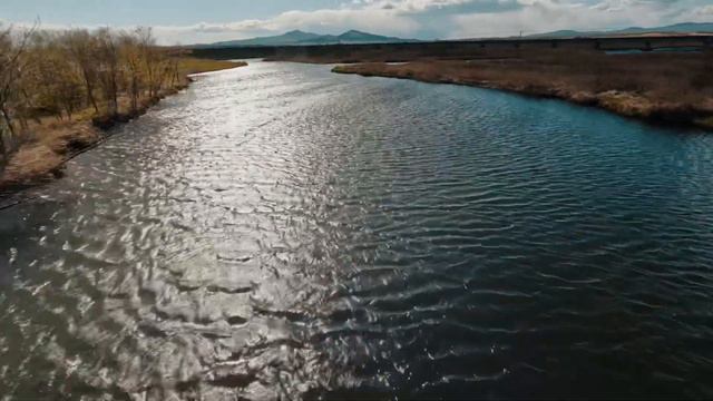 Хасанская саванна Dji FPV GoPro 10 смотреть онлайн