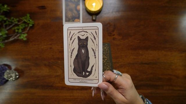 ✨ ?? What Are Your SPIRITUAL GIFTS ? ✨? Pick A Card Reading ✨ ? смотреть онлайн