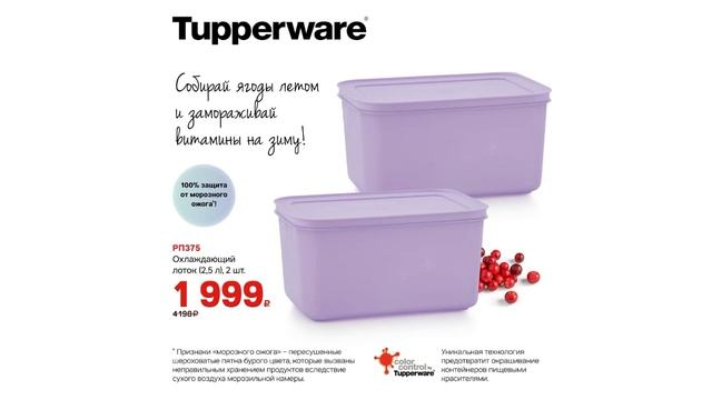 Спецпредложения августа Tupperware (3-30.08.2022) смотреть онлайн