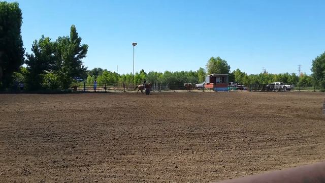 Annie Barrels at Robertson's Stables 6 2019 смотреть онлайн