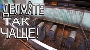 ОСЕННЯЯ БОРЬБА С БОЛЯЧКАМИ В КРОЛЬЧАТНИКЕ