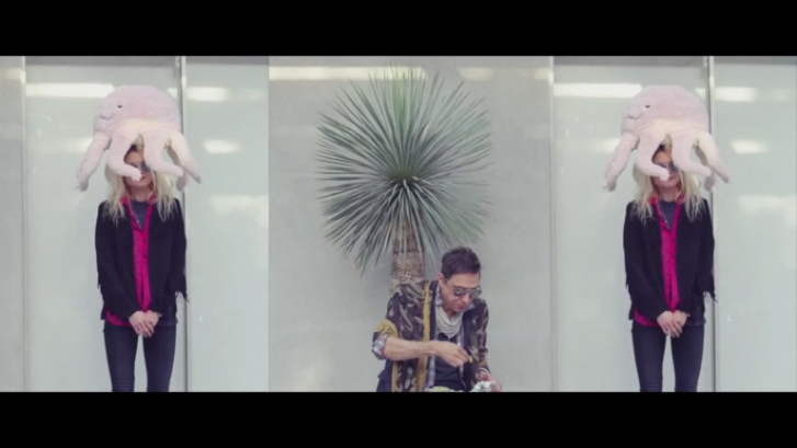 The Kills - Heart Of A Dog 2016 смотреть онлайн