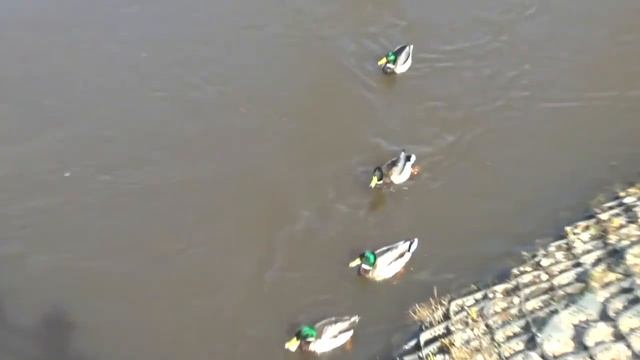 Достопримечательности Нерехты