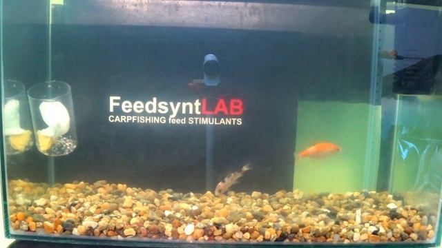 Feedstim Ultimatum Plus - стимулятор питания смотреть онлайн