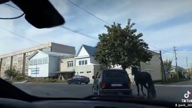 КЧР..... смотреть онлайн