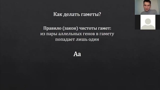 Генетика с нуля. Термины и составление гамет для ЕГЭ по биологии 2024 смотреть онлайн