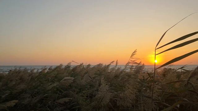 Республиканский конкуср “Символ моей малой Родины” Морской порт Актау смотреть онлайн