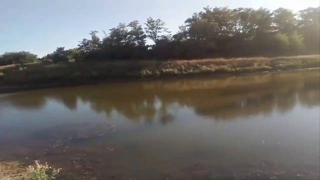 Я в шоке, полынь лечит псориаз.Ростовская природа и находки. смотреть онлайн