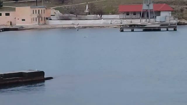 Человек плывёт в воде, температура которой 10 градусов! смотреть онлайн