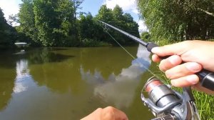 Спиннинг для крупных приманок.  Под безынерционную катушку. Nautilus Monster Pike. ＂Бигбейт с мясом.