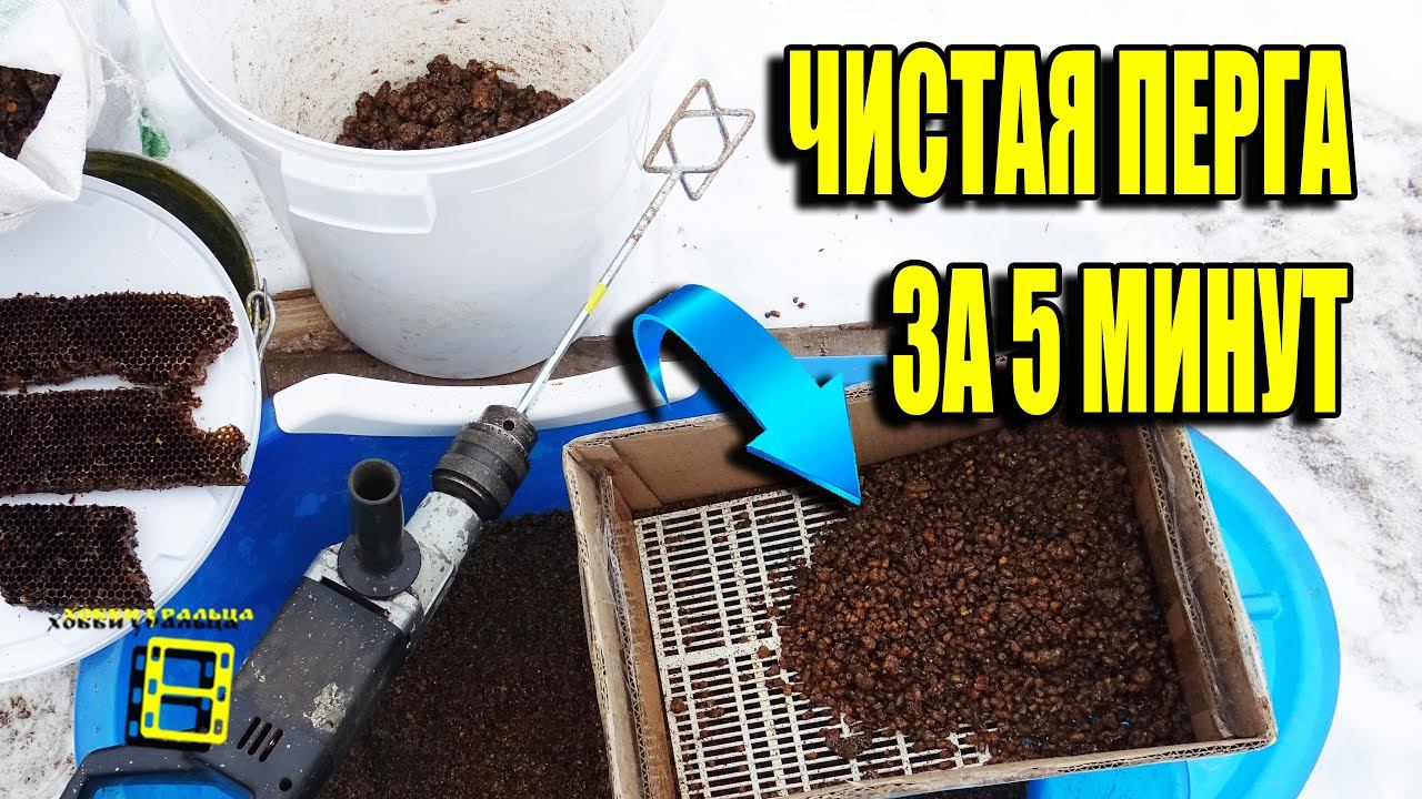 СУПЕР СПОСОБ ИЗВЛЕЧЬ ПЕРГУ ИЗ СОТ (ВЫБИТЬ ПЕРГУ ИЗ СУШИ). ПАСЕКА ЗИМОЙ 4 ДЛЯ НАЧИНАЮЩИХ ПЧЕЛОВОДОВ смотреть онлайн