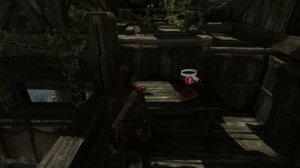 Tomb Raider. Горная деревня. Гробницы, Карты, Документы...