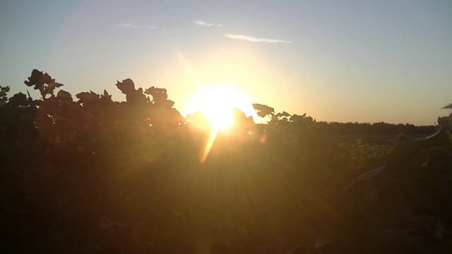 Секрета ловят не только рыбу но еще и мясо смотреть онлайн